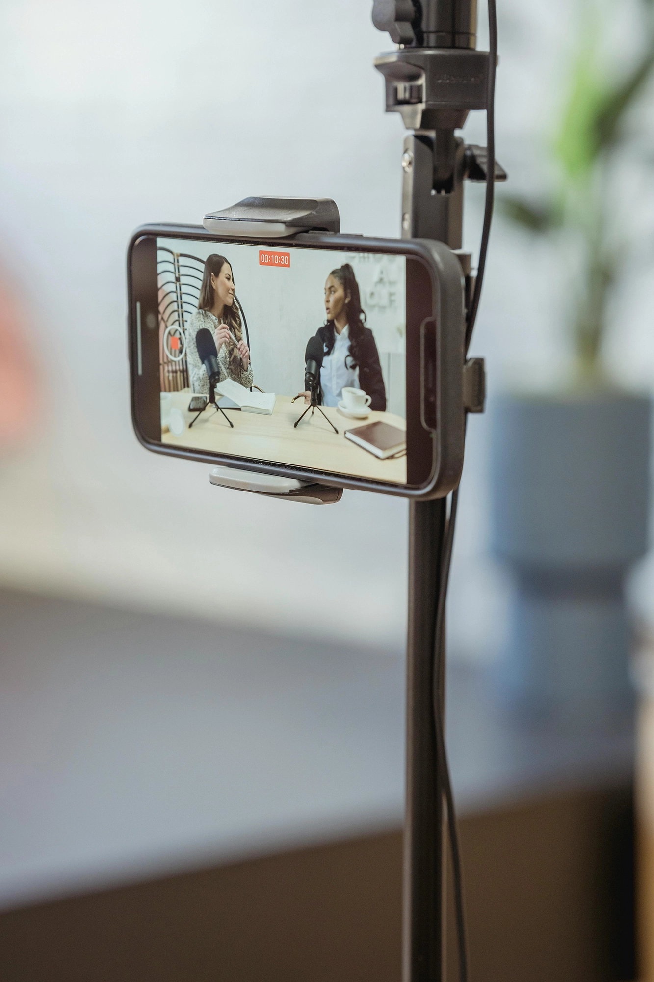 Video Production & Animation